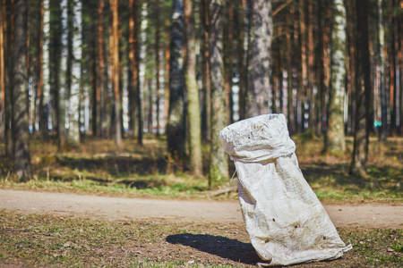 Earth Day seedlings. package with garbage in the forest. surrounding nature.の写真素材