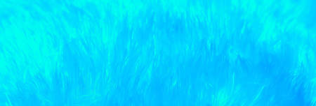 Airy soft fluffy feathers in haze background. Natural texture pattern of bird detail down feathers in neon pastel colors.の写真素材