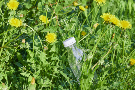 plastic bottle in green grass in the forest. environmental pollution by plastic. protection of ecology.の写真素材