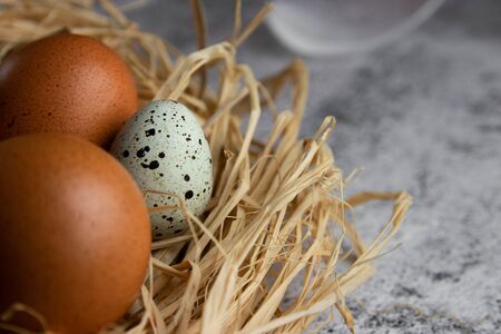 Chicken eggs in a nest of hay close-up on a light concrete background. Copy space. Agriculture