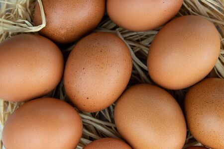 a group of chicken eggs lying in a nest of straw. Top view close-up. Agriculture.の写真素材