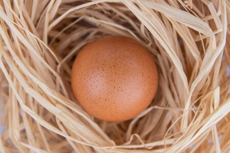 one hens egg lies in a nest of straw. Top view close-up. Agriculture.の写真素材