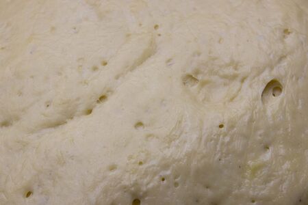 yeast dough as background. texture of fermented dough. ferment for baking.の写真素材