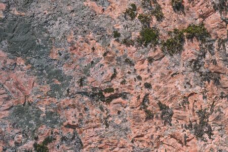 beautiful karalovogo color stone with a creative seasoned lichen on a boulder texture - abstract background photoの写真素材