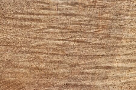 Tree trunk slice background. wood stump background texture. Texture for design. Copy space. deforestation.の写真素材