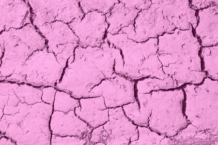 Gray cracked earth background textureの写真素材