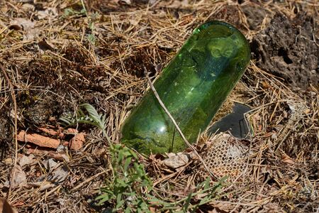 Garbage in the forest. Glass bottle thrown in the forest. The problem of ecology and nature pollution.の写真素材