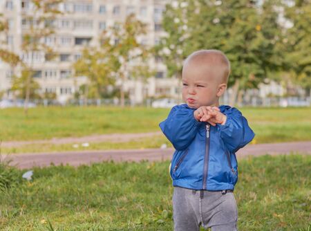 St. Petersburg, Russia, August 5, 2019.Cute little blond boy is walking in the clear summer weather in the park. The concept of childhood children and family relationships. child protection.のeditorial素材
