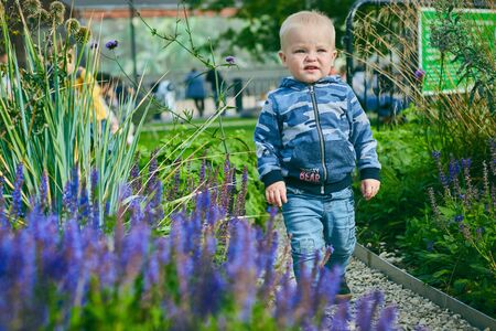 Portrait of a serious little blond boy in a park with flowers. children, family. child protection.のeditorial素材