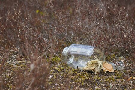 Damaged plastic bottle on the ground in a pine forest. The concept of environmental pollutionの写真素材