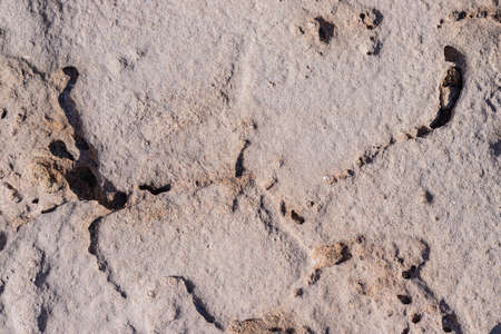 textured background brown stone with cracks on the surface. copy space. abstract stone background for design. sea stone.の写真素材