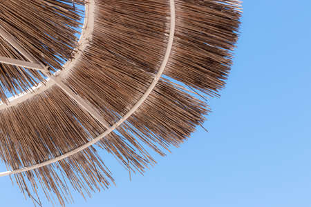 holiday concept, vacation on the beach or by the pool, travel. palm tree and beach umbrella against the blue sky. place for text.の写真素材