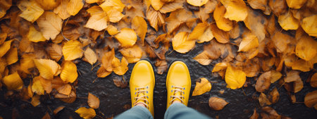 yellow boots on autumn leaves in the park. protect your feet from the rain. Autumn has come. yellow leaves.の素材