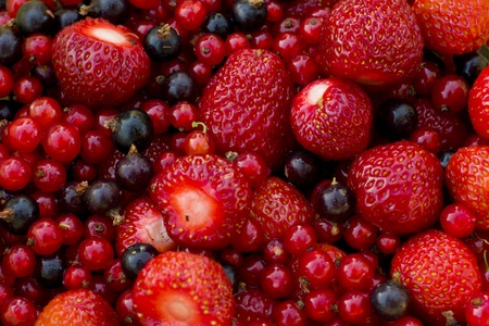 Mixed berriesの写真素材