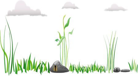 Nature illustrationの写真素材