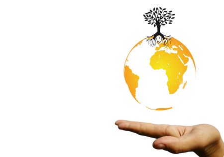Globe In Handの写真素材