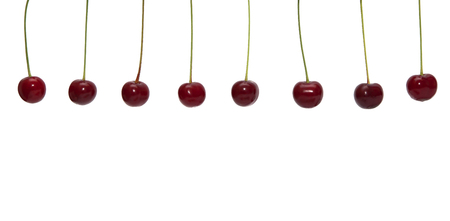 Red cherry on a white backgroundの写真素材