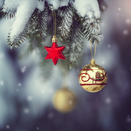 New Years toys on a snow-covered tree in a magic forest. A fabulous new year and a magical Christmas.の写真素材