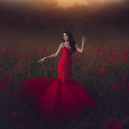 Beautiful girl in a posh red dress posing on a poppy field. Poppy field at sunset. Art processing.の写真素材