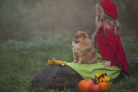 A little blonde girl with a small red dog in the autumn misty forest sitting on a log next to pumpkins. Autumn photography. A girl in a red coat and beret looks into the distance. Rear viewの写真素材