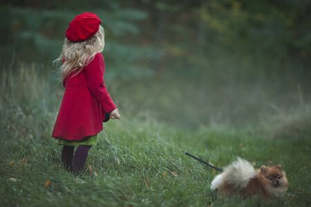 A small blonde with a small dog in the autumn misty forest looks into the distance. Autumn photography. Rear viewの写真素材