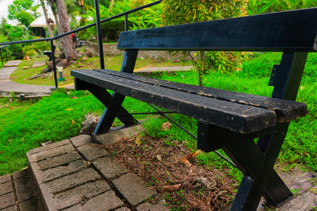 Bench in the park with plantsの写真素材