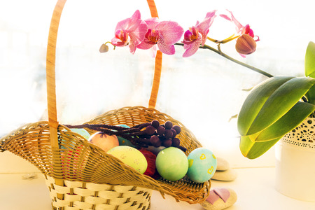Easter eggs in a basket, flowering Orchid, sunriseの写真素材