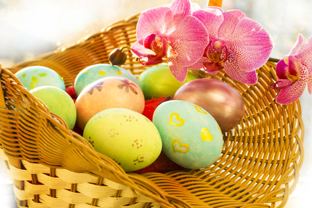 Easter eggs in a basket, flowering Orchid, sunriseの写真素材