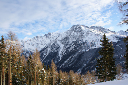 The mountain in the snow, snow-covered spruceの写真素材