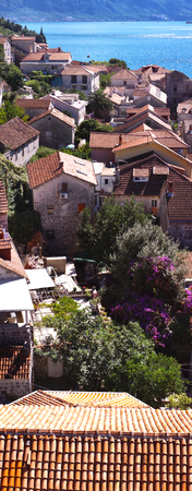 Vertical panorama of the top view of the red roofs and yards in a small townの写真素材