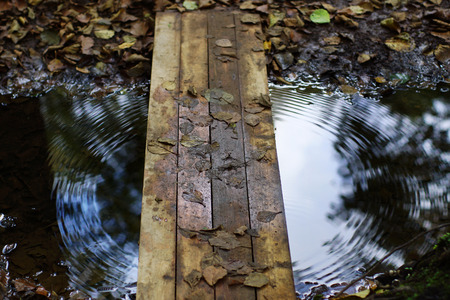 Wooden bridge over stream, circles on water, reflection of autumn trees.の写真素材