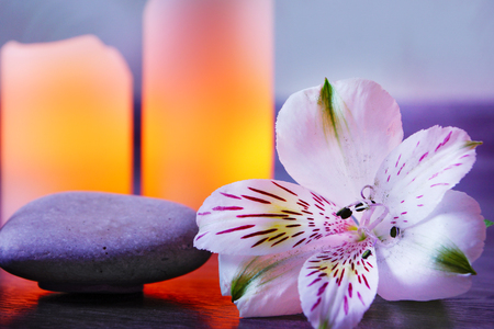 The alstroemeria flower lies on the stones for massage next to the lit candles.の写真素材
