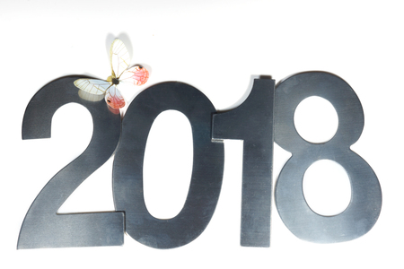 Metallic figures 2018 and paper butterfly on a white background, New Year background.の写真素材