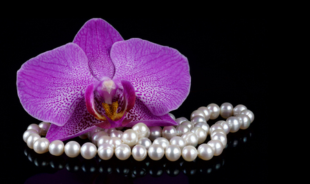 Flower of an orchid with beads made from pearls on a black backgroundの写真素材