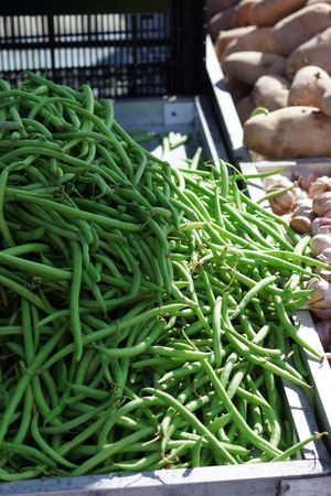Green string beans lie on the counter in the vegetable market.の写真素材