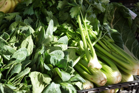 Green salad and stalks of celery greens in the vegetable market, lit by the sun.