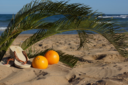 Composition with palm leaves, oranges and beach slippers on the sandy beach by the sea.の写真素材