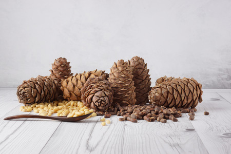 Set of cedar cones and pine nuts on a light background.の写真素材