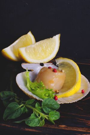 Natural scallop in the opened shell on a dark background with lemon and greens.の写真素材
