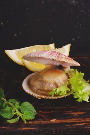 Natural scallop in a newly opened shell on a dark background.の写真素材