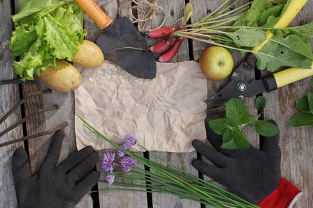 Crafted crumpled paper for your text with garden tools and a summer crop around, top view.の写真素材