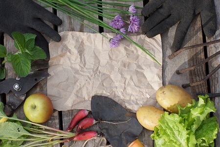 Crafted crumpled paper for your text with garden tools and summer harvest on a wooden background, top view.の写真素材