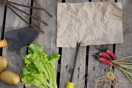 Kraft paper for your text surrounded by garden hand tools and a summer harvest, top view.の写真素材