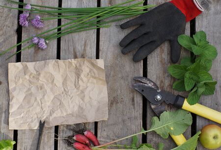 Crumpled crumpled paper for your text surrounded by garden hand tools and a summer harvest, top view.の写真素材