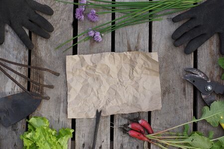 Crumpled crumpled paper for your text with garden tools and summer greens, top view.の写真素材