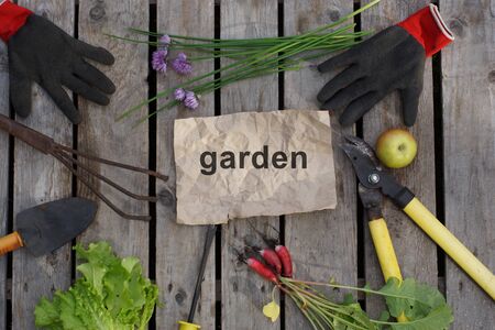 The word garden written on craft paper surrounded by garden hand tools and a summer harvest.の写真素材