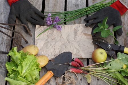 Bright still life on the theme of garden and harvest, tools and vegetables lie around the paper for your text.の写真素材