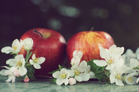 Still life with apples and delicate flowers on a table in spring.の写真素材