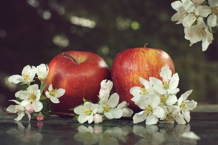 Still life with apples and delicate white flowers on a marble glossy table.の写真素材