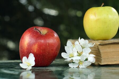 Still life with red and yellow apples and a large book on a marble table, soon to school.の写真素材